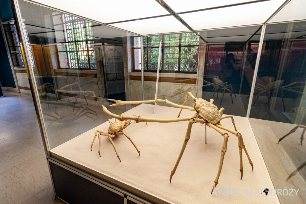 Mediolan