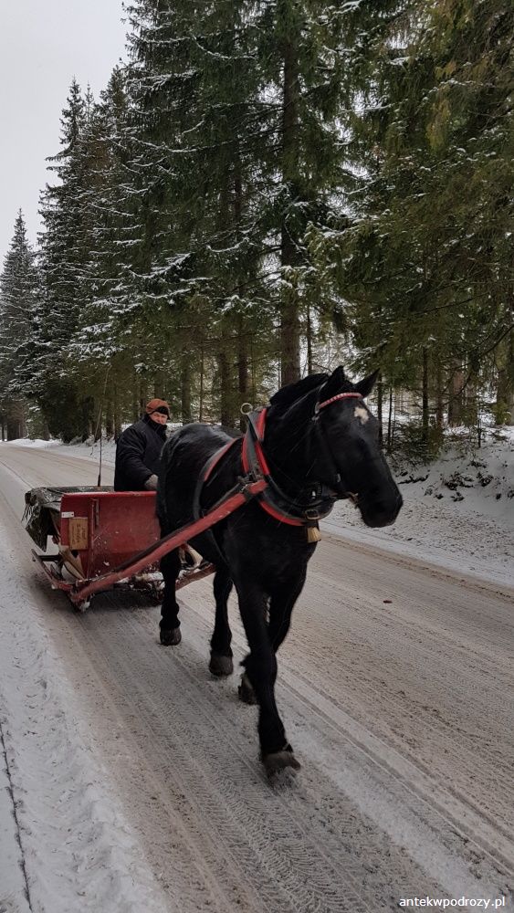 Tatry