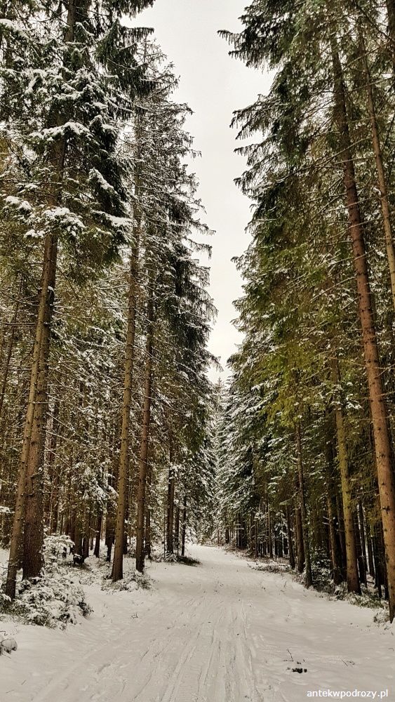 Tatry