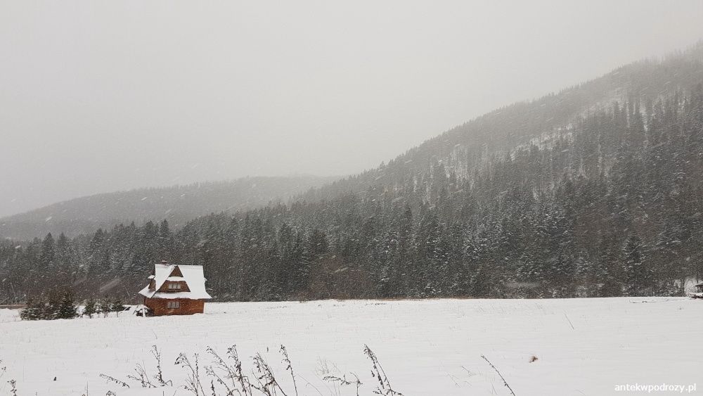 Tatry