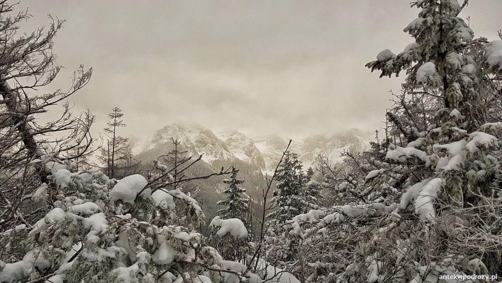 Tatry