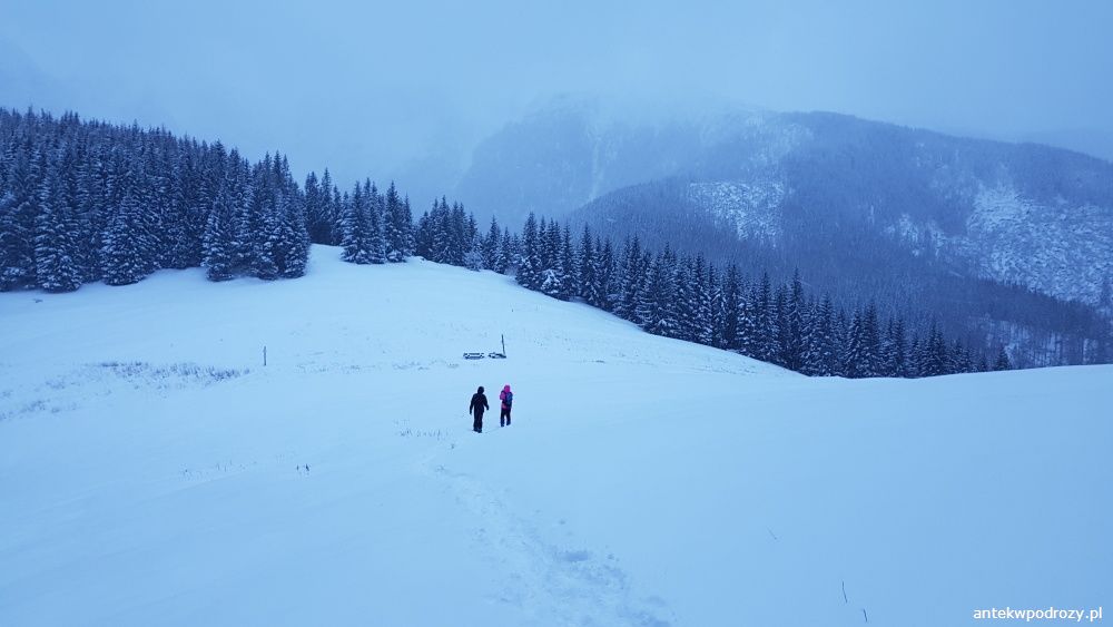 Tatry