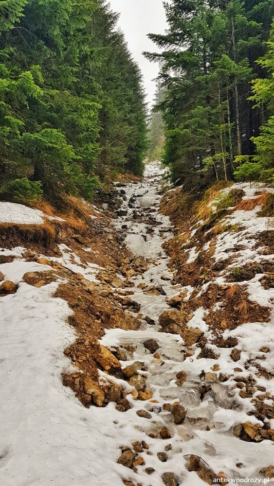 Tatry