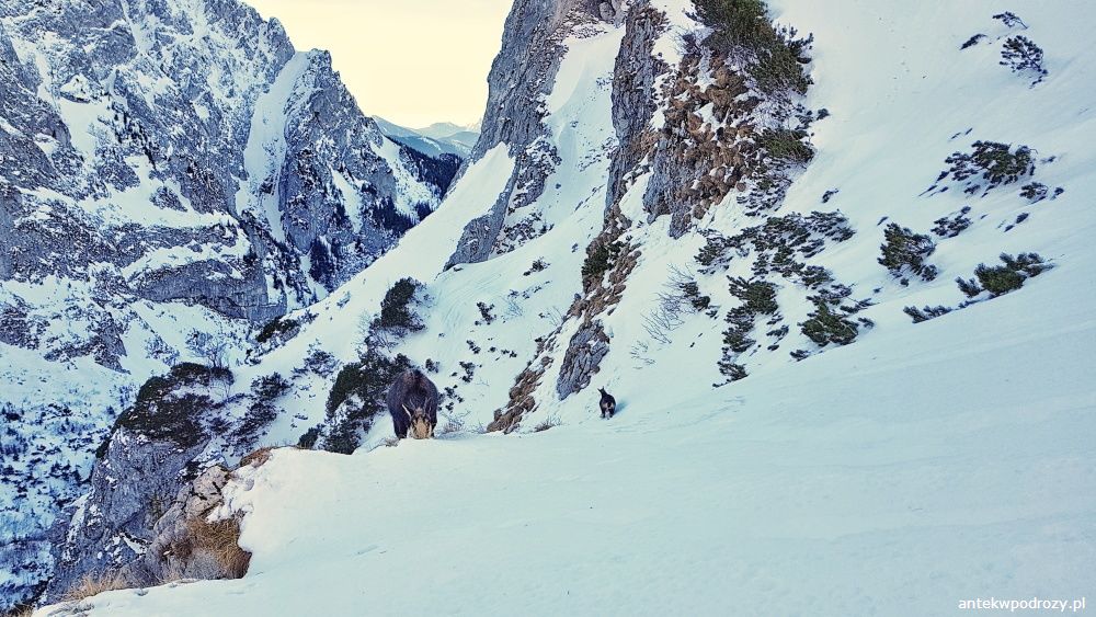 Tatry