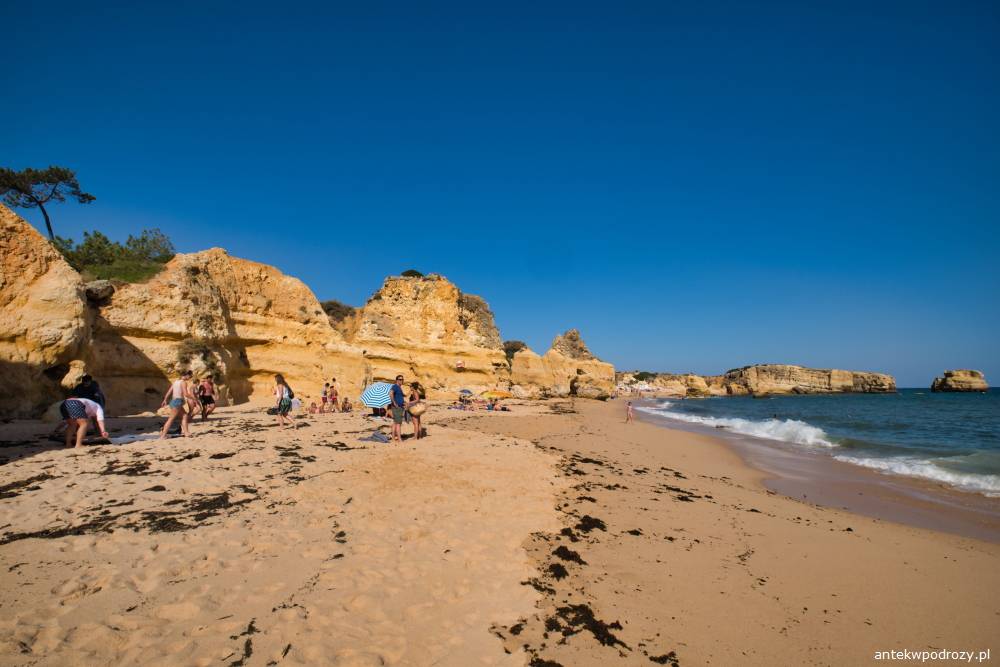 Algarve