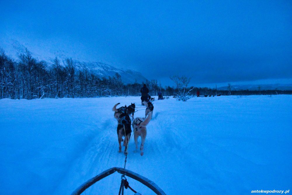 Tromso