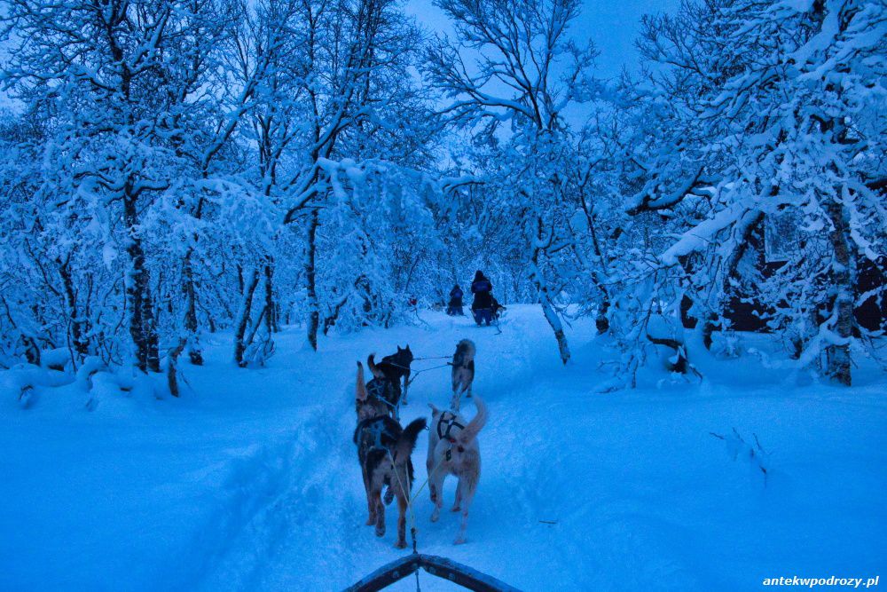 Tromso