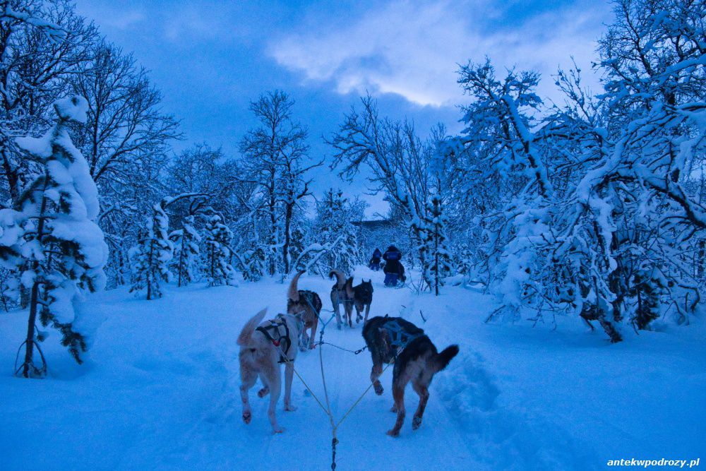 Tromso