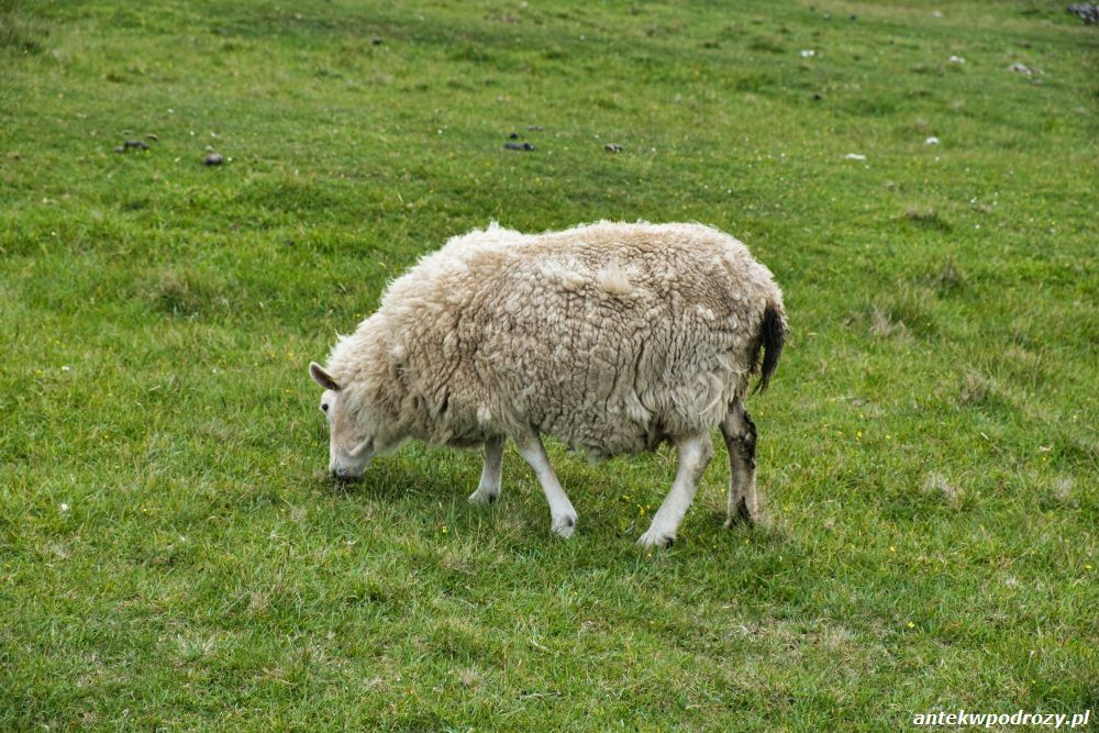 Isle of Skye