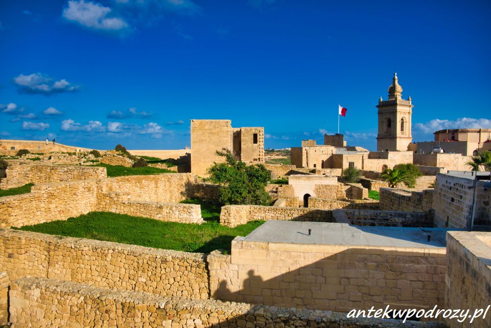 Gozo