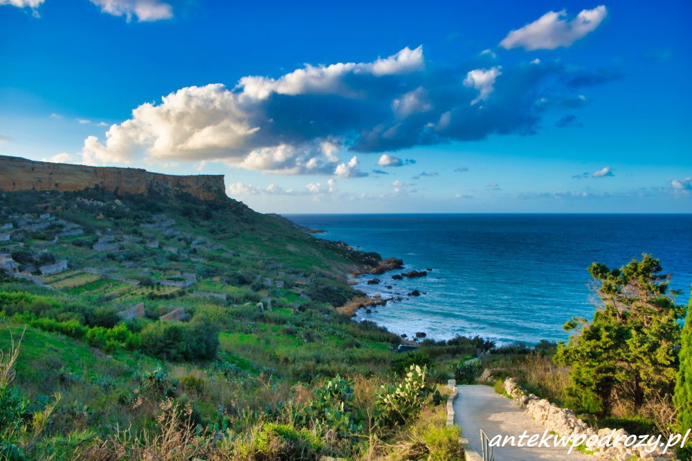 Gozo