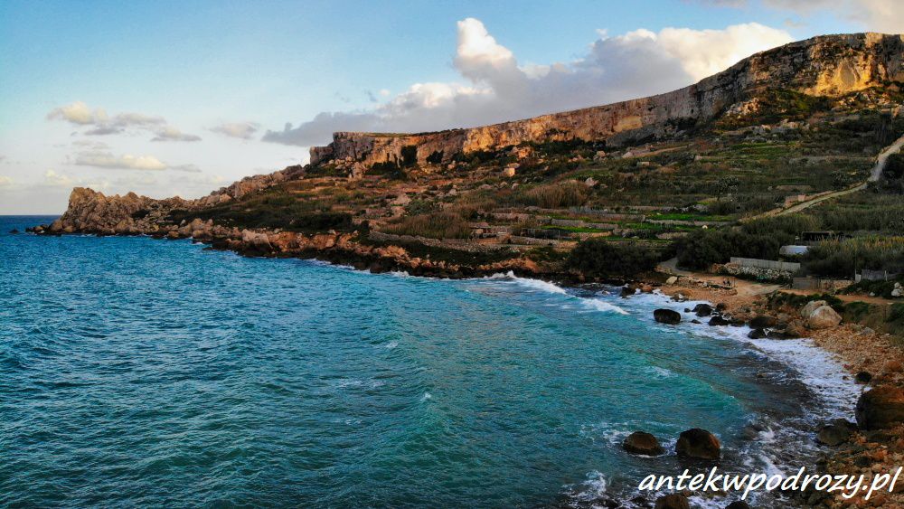 Gozo