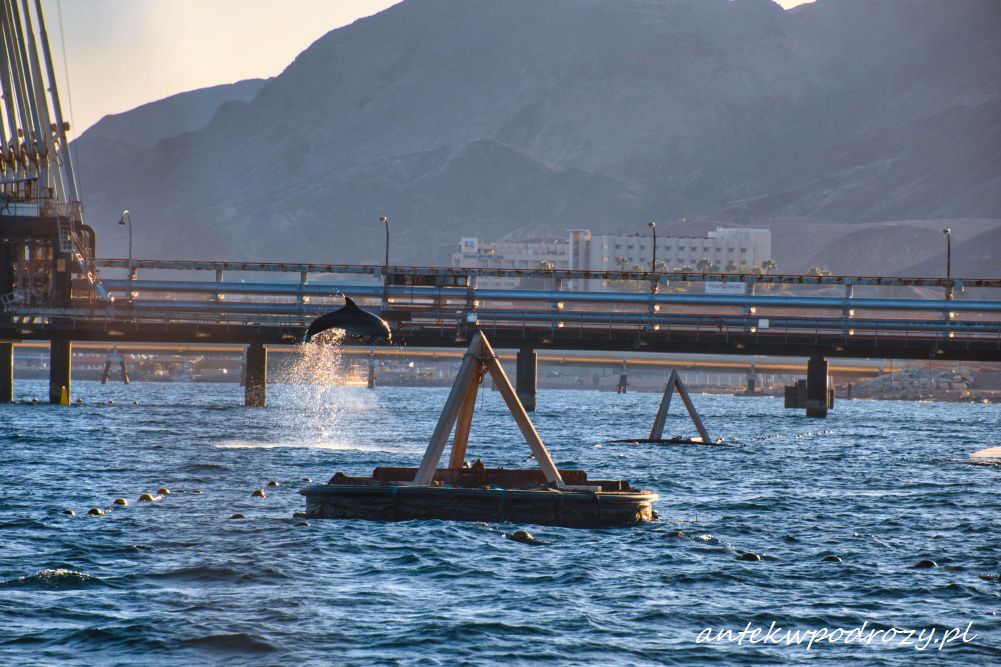 Eilat, Ejlat, Izrael