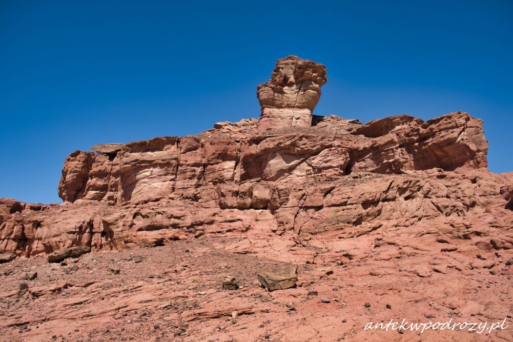 Timna Park Izrael