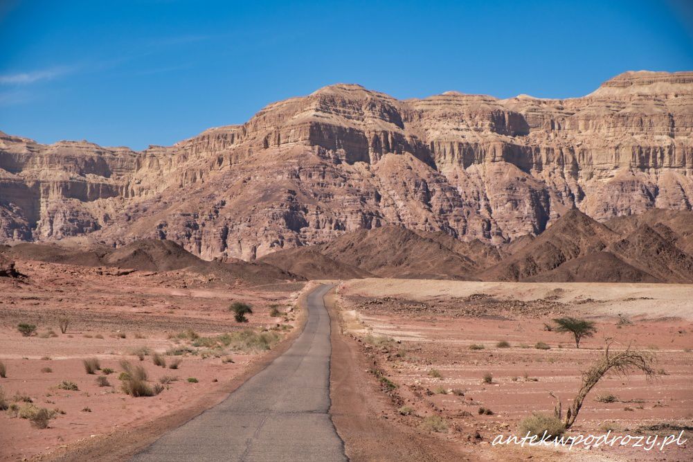 Timna Park Izrael