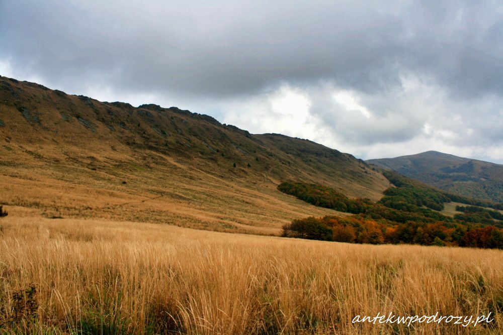 Bieszczady