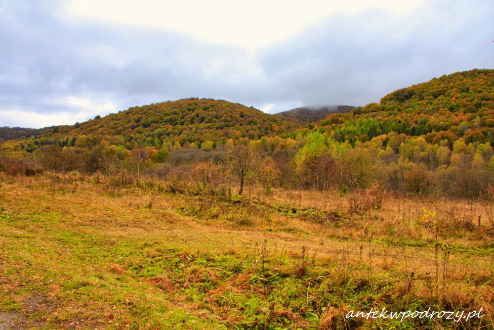 Bieszczady