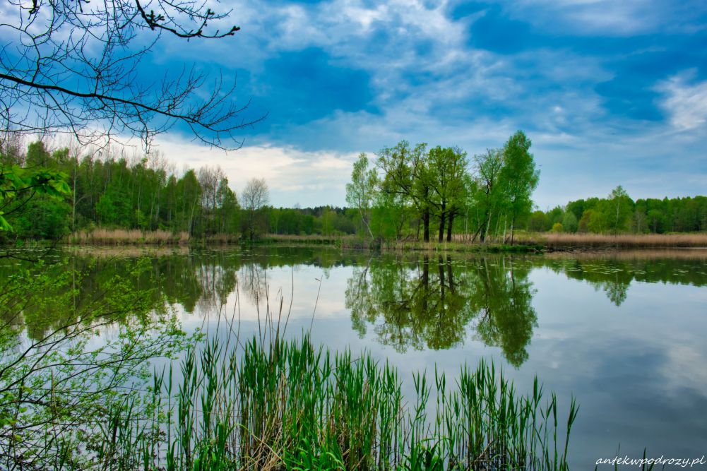 Śląskie jeziora