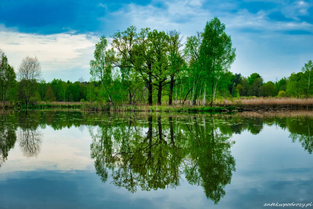 Śląskie jeziora