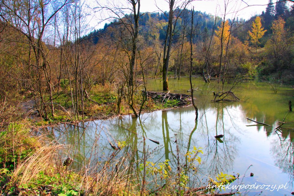 Bieszczady