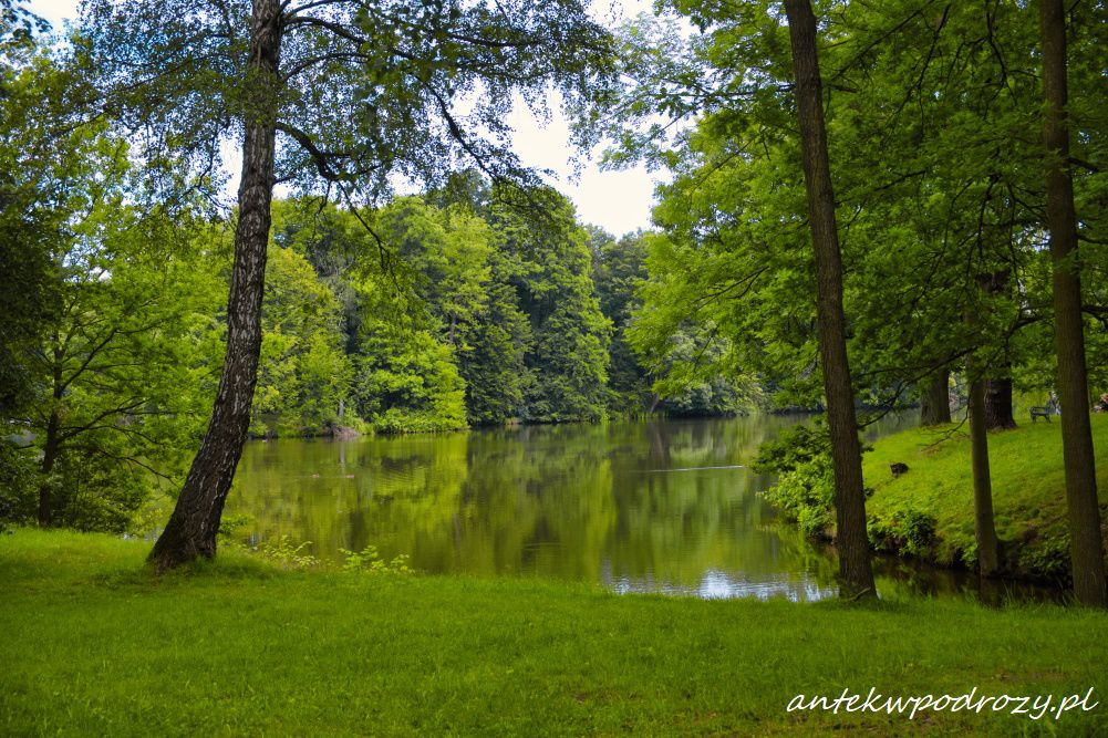 Śląskie jeziora