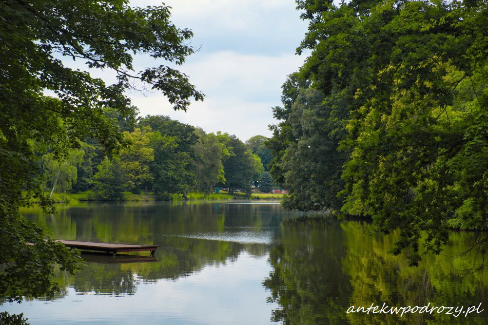 Śląskie jeziora