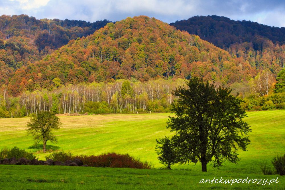 Bieszczady