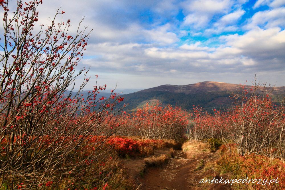 Bieszczady