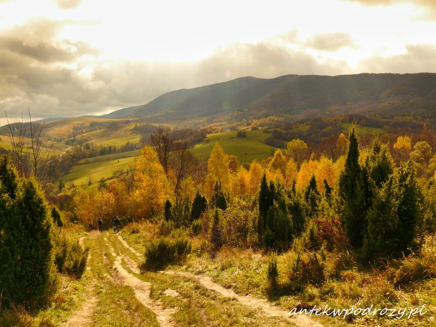 Bieszczady