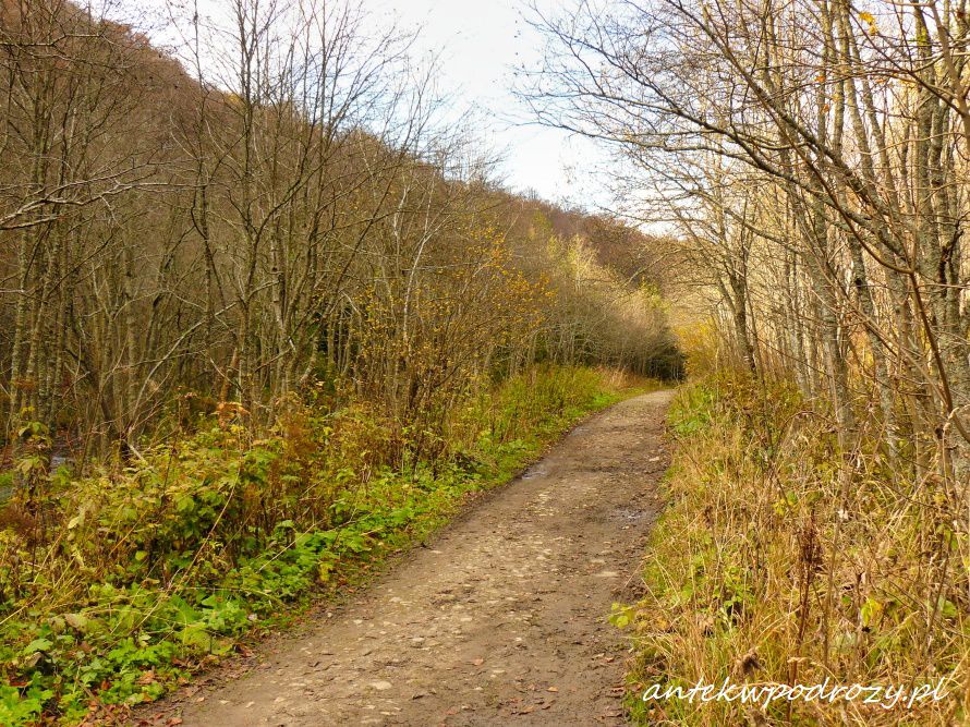 Bieszczady