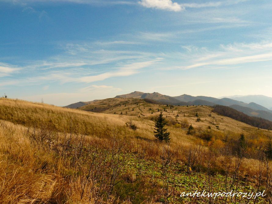 Bieszczady