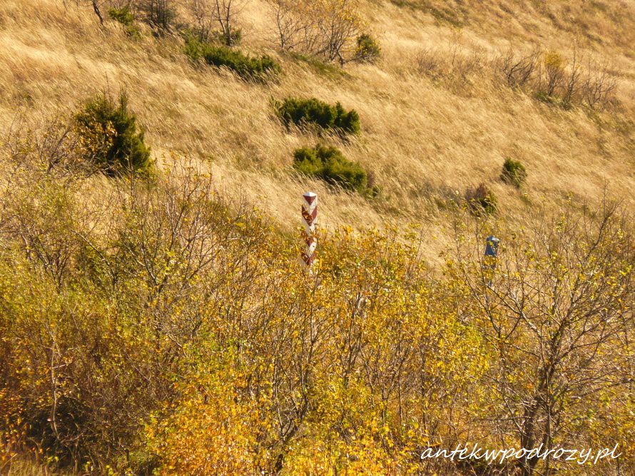 Bieszczady