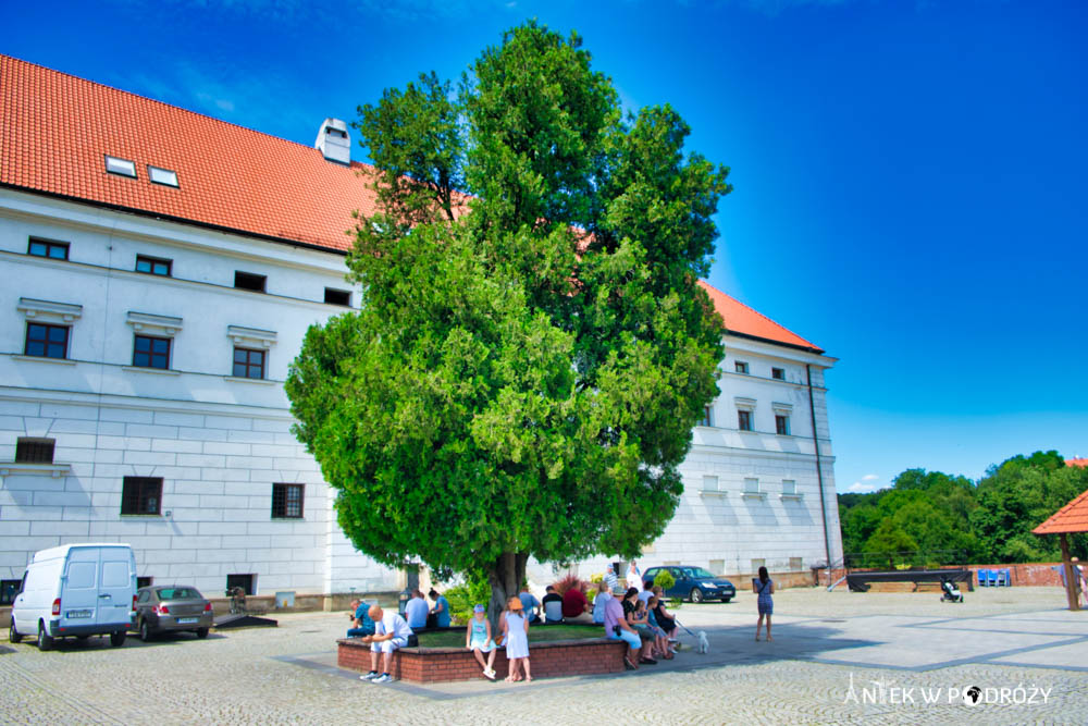 Sandomierz