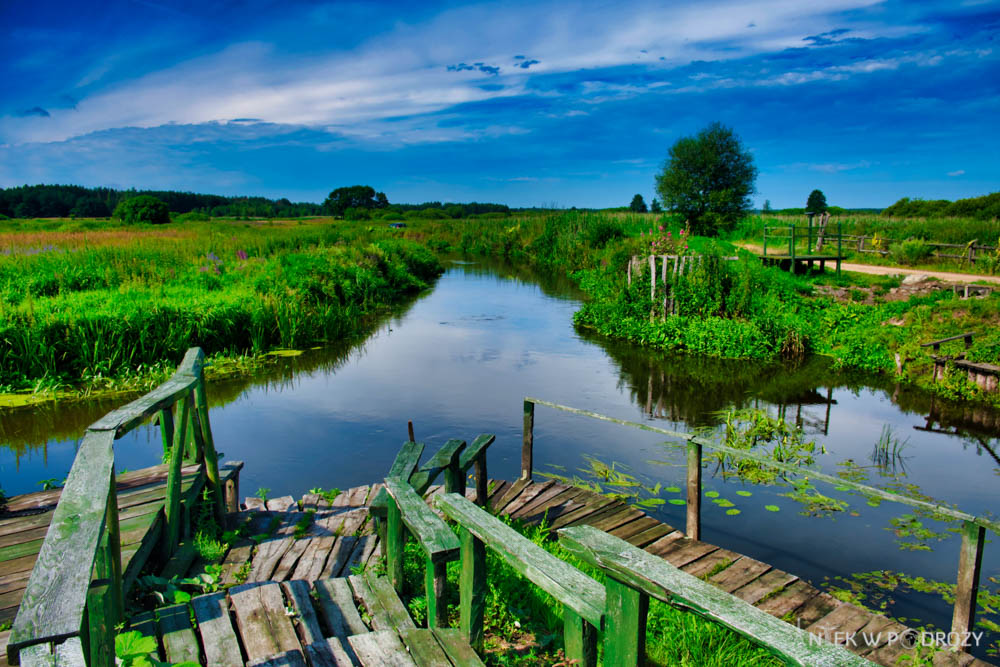 Cerkwie na Podlasiu