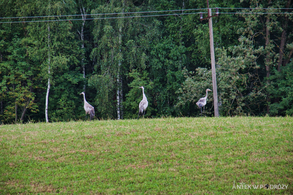 Warmia