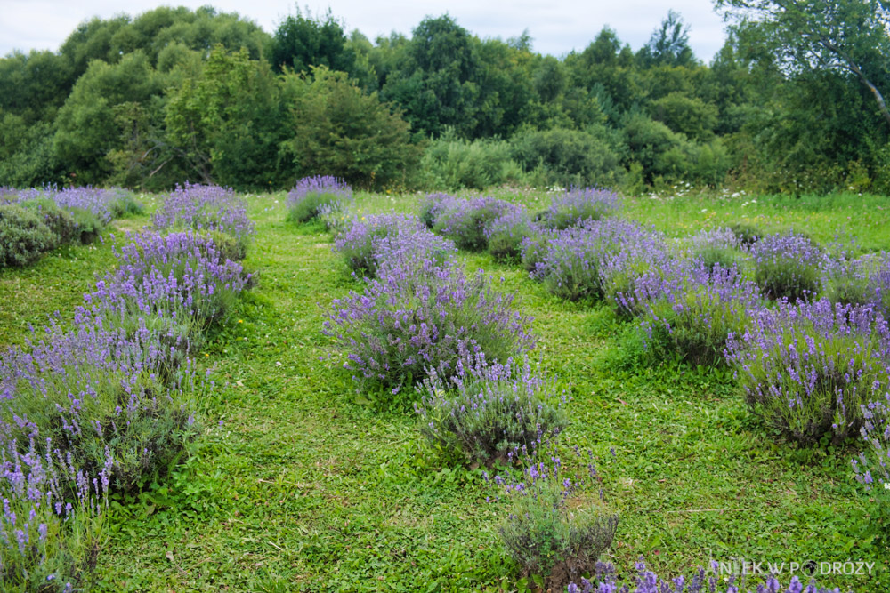 Warmia