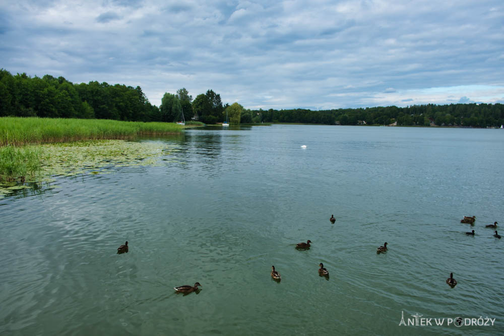 Mazury