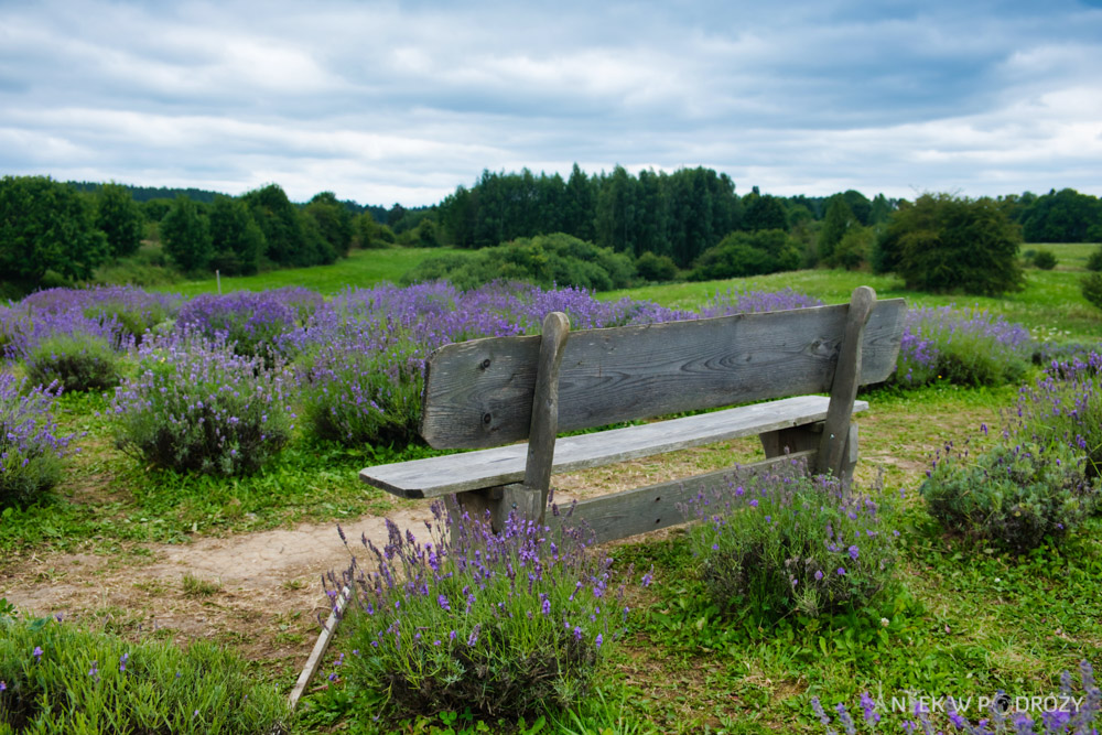 Warmia