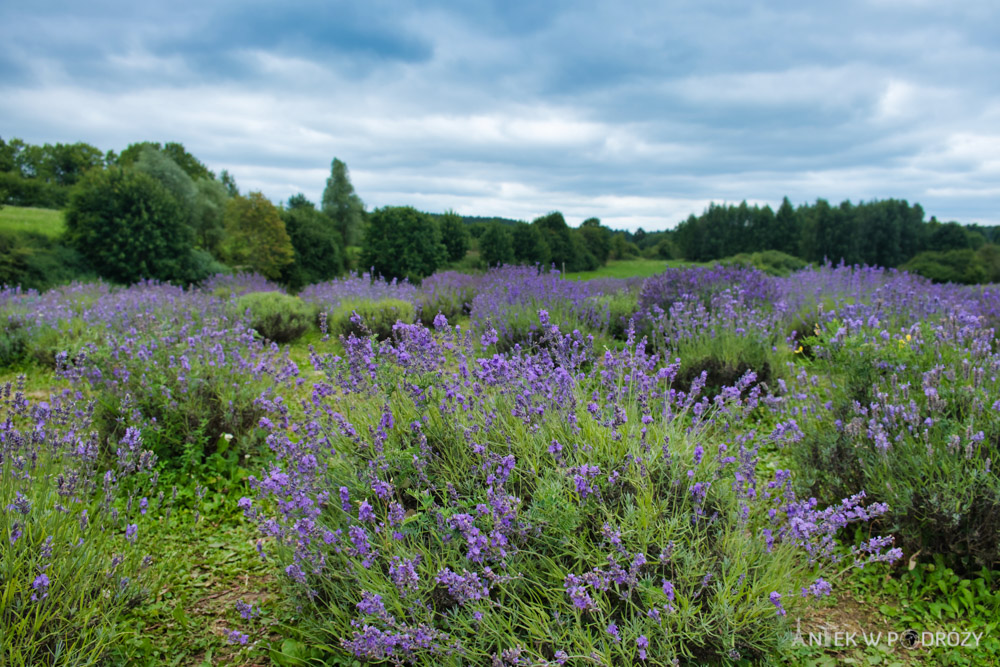 Warmia