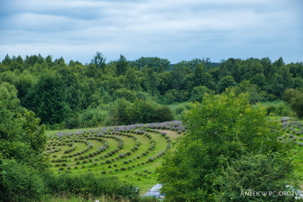 Warmia