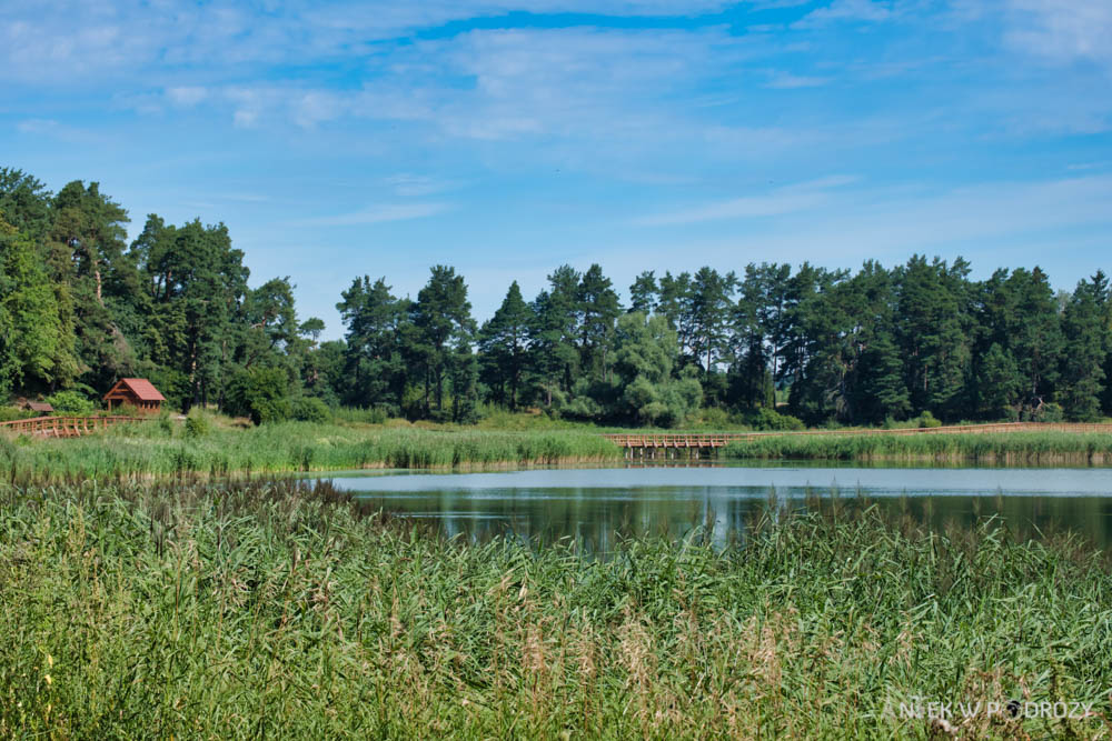 Mazury