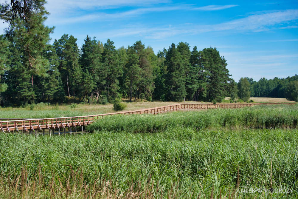 Mazury