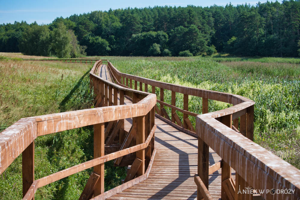 Mazury