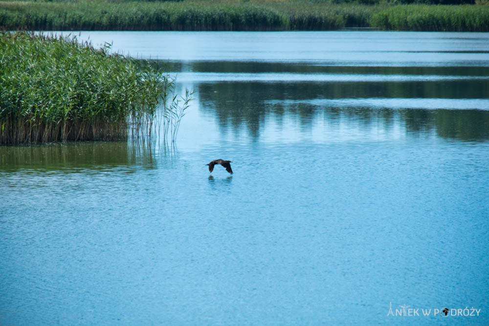 Mazury