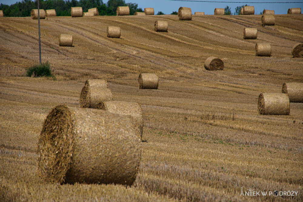 Mazury