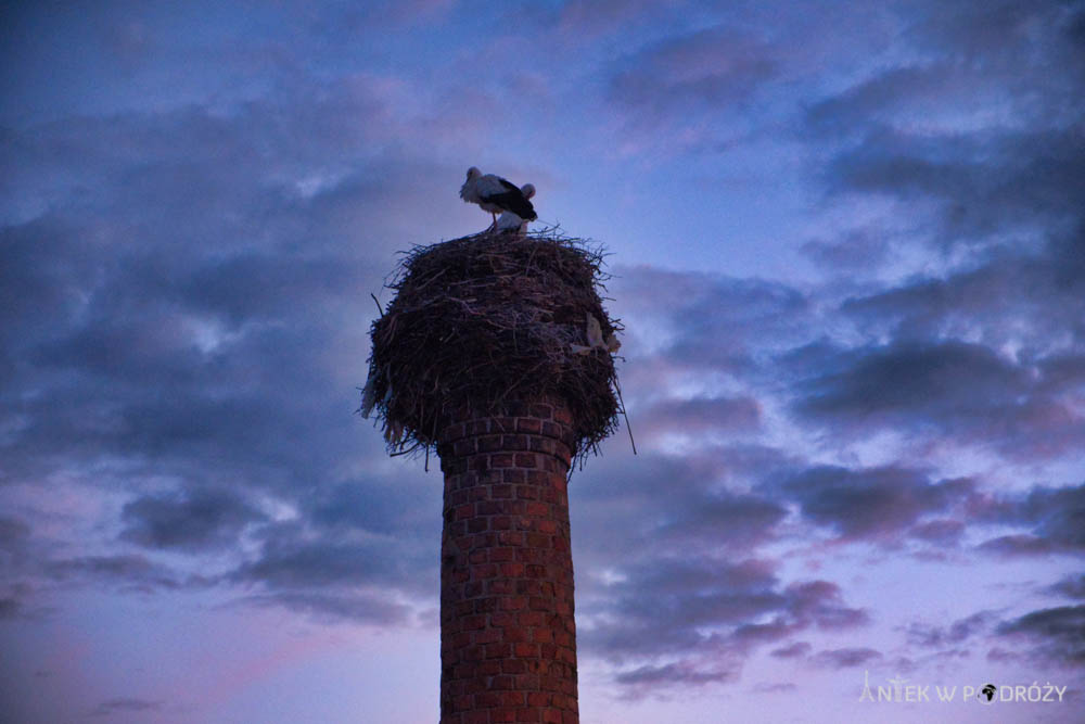 Mazury