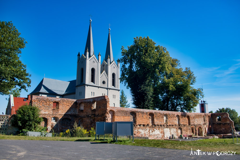 Ruiny pałaców i zamków w województwie opolskim