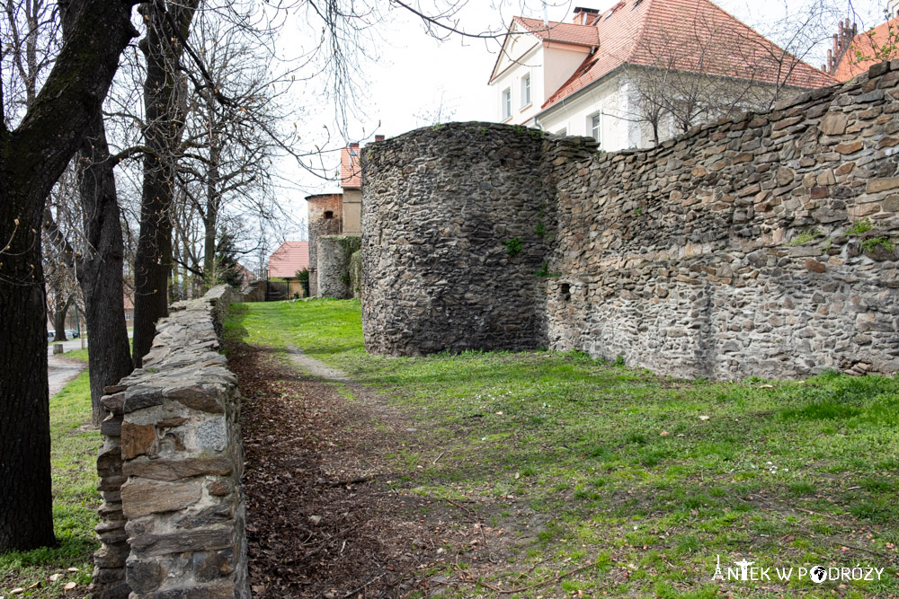 Dzierżoniów (dolnośląskie)