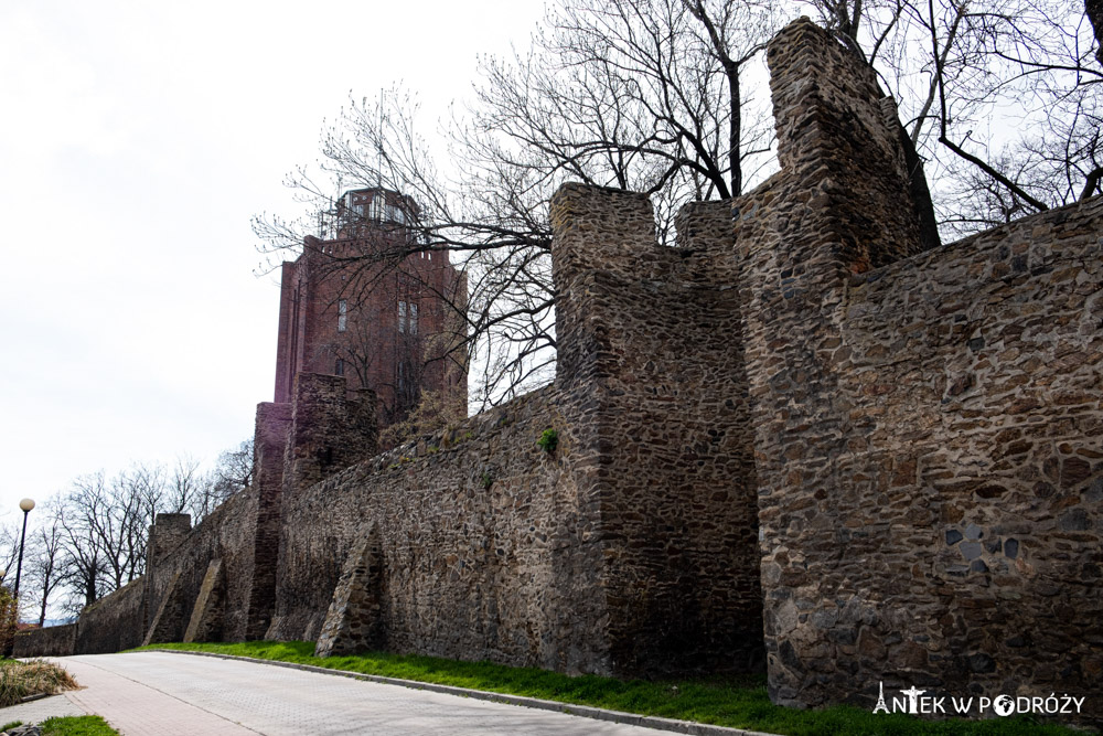 Dzierżoniów (dolnośląskie)