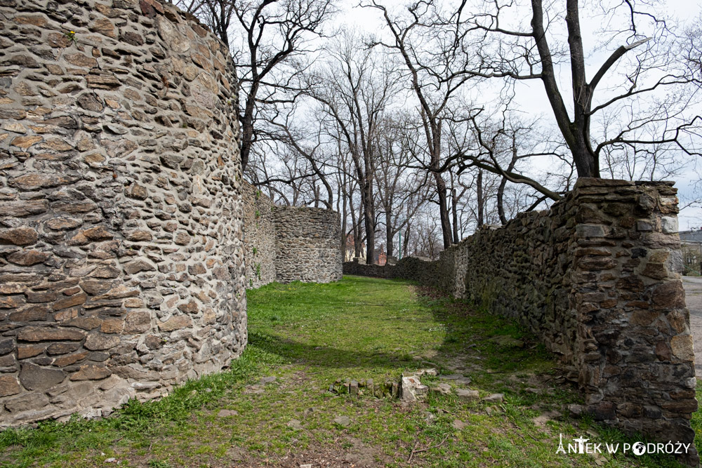 Dzierżoniów (dolnośląskie)